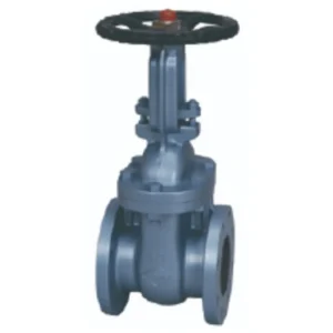 เกทวาล์ว toyo รุ่น 125-FSRF