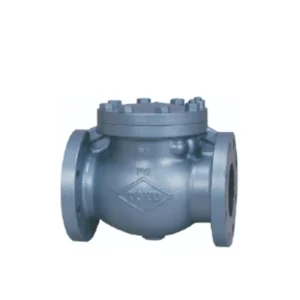 สวิงเช็ควาล์ว TOYO รุ่น EA125-FNSF10KFF