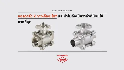 2-Way Ball Valve Structure and Operation Guide